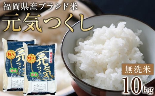 
            【先行予約】＜令和7年産＞福岡県産ブランド米「元気つくし」無洗米10kg ＜筑前町＞【米 ブランド米 ブランド 白米 元気つくし 令和7年産 10kg 10キロ 無洗米 家庭用  お取り寄せ お土産 福岡県産 取り寄せ グルメ 福岡県 筑前町 CE005】
          