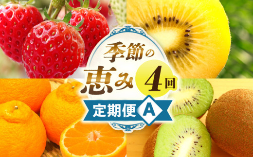 季節の恵み4回定期便A_mk165-t025