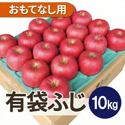 【ふるさと納税】【2026年4～5月出荷予定】平均糖度13度以上! 有袋ふじ 約10kg おもてなし用【配送不可地域：離島・沖縄県】【1707170】