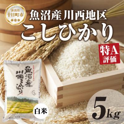 ふるさと納税 十日町市 【令和7年産 新米予約】 魚沼産 川西 こしひかり 5kg 精米 新潟県産 お米 産地直送 十日町