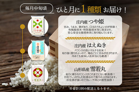 【3か月定期便】山形のブランド米 食べ比べ 毎月 5kg×1袋 1種 計15kg 令和7年産 つや姫 はえぬき 雪若丸 ブランド米 米 山形 庄内平野 コシヒカリの原点、亀の尾発祥の地 庄内 定期【7