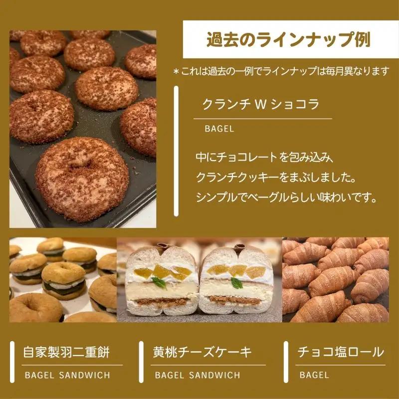 【翌月発送】ベーグル おまかせ 10種セット 冷凍  小松島市