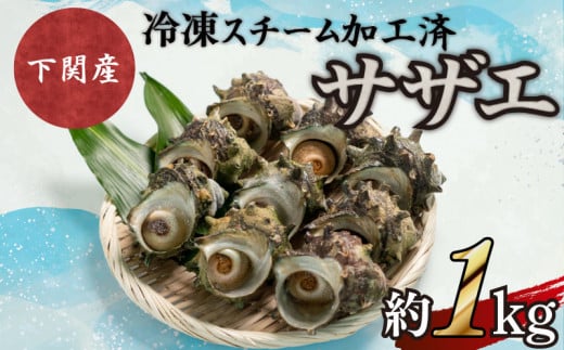 サザエ 約1kg 7～12粒 特大サイズ 刺身 冷凍 スチーム加工 包装 レンジ で チンするだけ 下関 阿川 漁協 コラボ 産地直送 貝