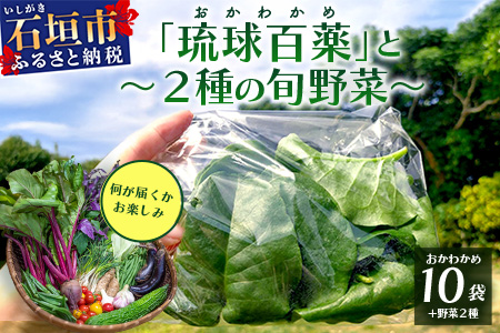 《予約受付》沖縄の健康長寿の秘訣「琉球百薬（おかわかめ）」10袋と旬のおまけ野菜詰め合わせ！農薬を使わない栽培方法を続けるミネイさんの野菜 2025年2月上旬以降～順次発送 OI-24