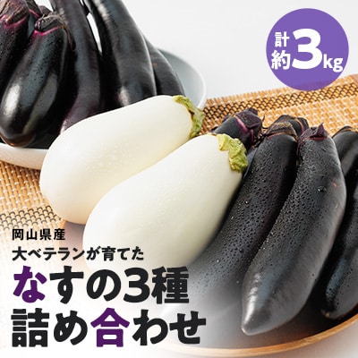 【2026年7月以降発送】なす栽培歴50年の大ベテランが育てたなすの詰め合わせセット約3kg