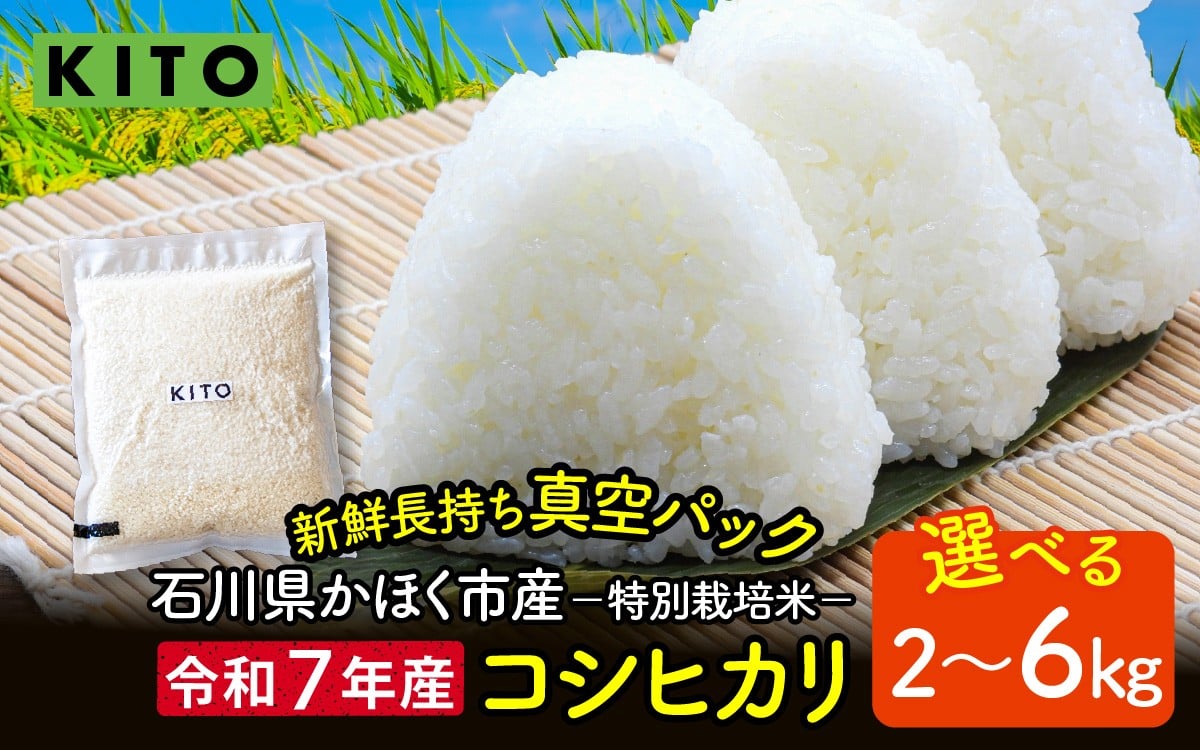 
            【先行予約 令和7年産】【選べる容量】石川県かほく市産 こしひかり 2kg～6kg 特別栽培米【2025年10月より順次発送】| 新米 コシヒカリ 小分け 精米 白米 お米 こめ コメ 2キロ 6キロ 単一原料米 国産 食品 常温 ご飯 お取り寄せ 送料無料
          