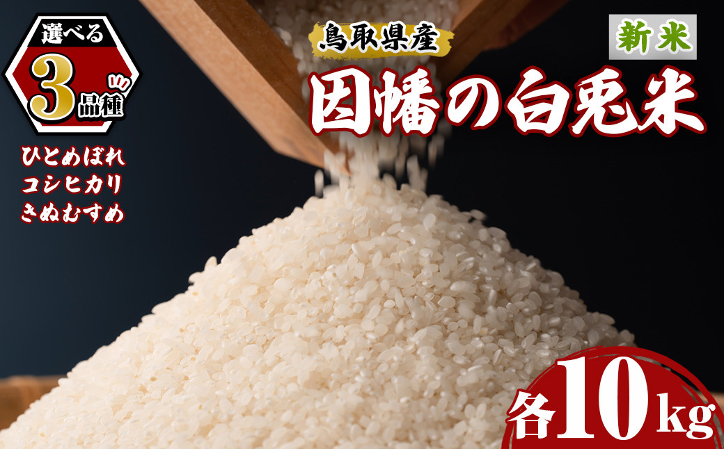
            ＜先行予約受付中！2025年9月中旬～2026年8月下旬発送予定＞＜数量限定＞＜品種が選べる＞【因幡の白兎米】令和7年産新米ひとめぼれ・コシヒカリ・きぬむすめ10kg(5kg×2袋)【sm-DD068・sm-DD069・sm-DD070】【Workplays】
          
