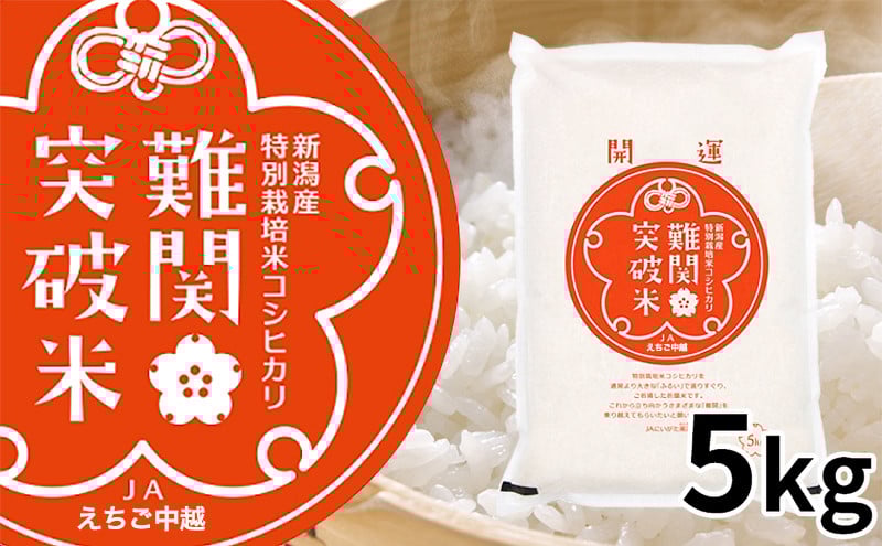 
            [№5882-0084]令和7年産 難関突破米 5kg お米 コシヒカリ
          