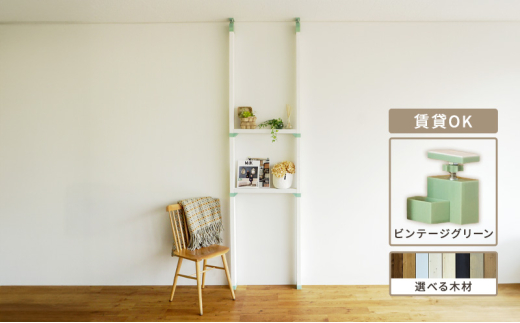 [№5258-7804]LABRICO棚セットS　アジャスター：ヴィンテージグリーン×スノーホワイト