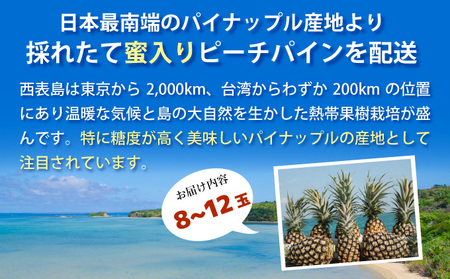 【2024年発送】リピータ続出！西表パイン園の蜜入り ピーチパイン8kgセット