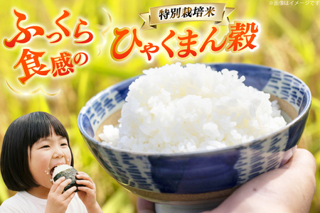米 令和7年産 特別栽培米 ひゃくまん穀 10kg 白米