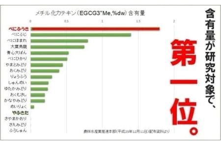 べにふうき緑茶（メチル化カテキン）ティーバッグ5g・10個入5袋　計５０個（深蒸し掛川茶 美笠園 花粉症 ） 2034