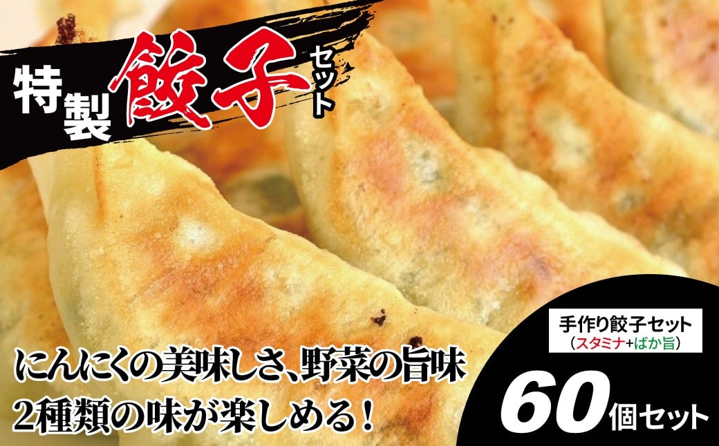 
            特製！手作り餃子セット（スタミナ餃子30個＋ばか旨餃子30個） 〈 餃子 冷凍餃子 セット 冷凍食品 人気 美味しい 老舗 有名店  パーティ おすすめ おいしい 手作り ギョーザ ぎょうざ 焼き餃子 野菜 おかず 総菜 おつまみ 中華 大量 〉
          