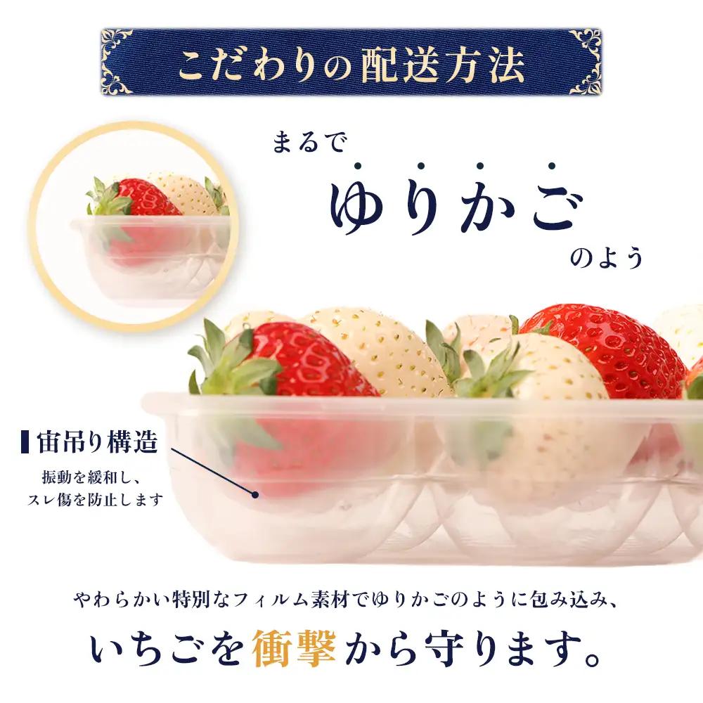 【2027年１月以降発送！】【北海道産】ゆきいちご（白いちご） 2Pセット 250g×2 計500g 苺 イチゴ 白いちご 一季成りイチゴ ゆきぼたん パールホワイト 希少 高級 ギフト お取り寄せ 