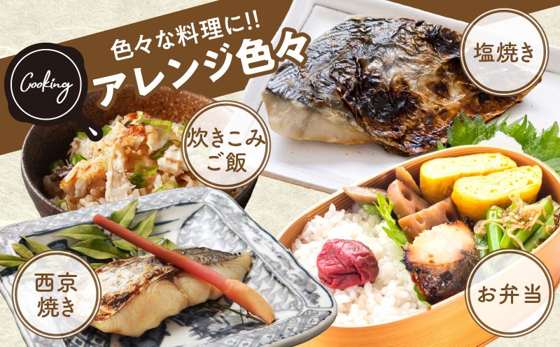 【定期便】さわら 切身 約50g×10切れ 全2回【2026年3月＆2026年6月発送 お弁当サイズ 小分け 漁師 手切り 500g 泉州 鰆 切り身 弁当 朝食 時短 訳あり サイズ不揃い 規格外 