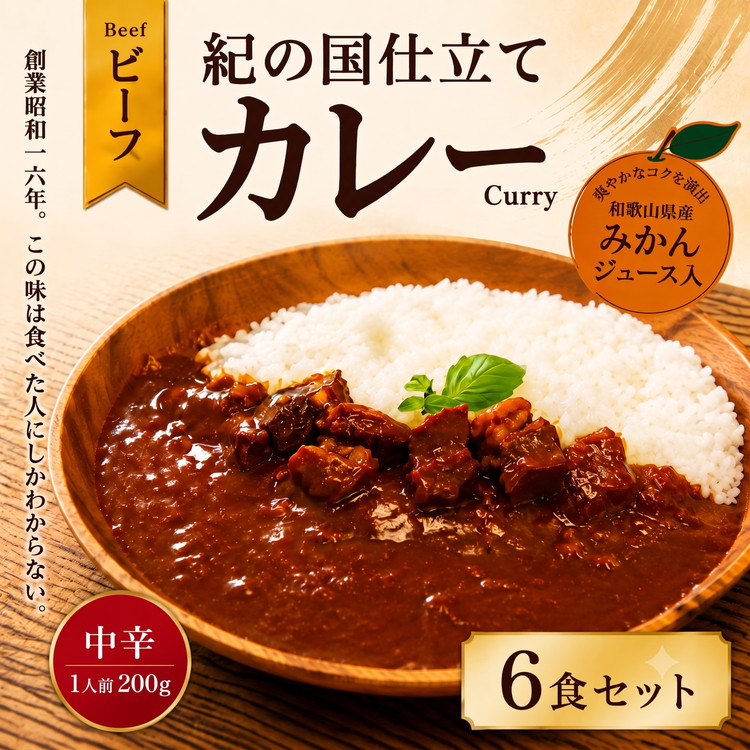 紀の国仕立て カレー （ビーフ） 6食 中辛 1人前200g (A1193-1) 