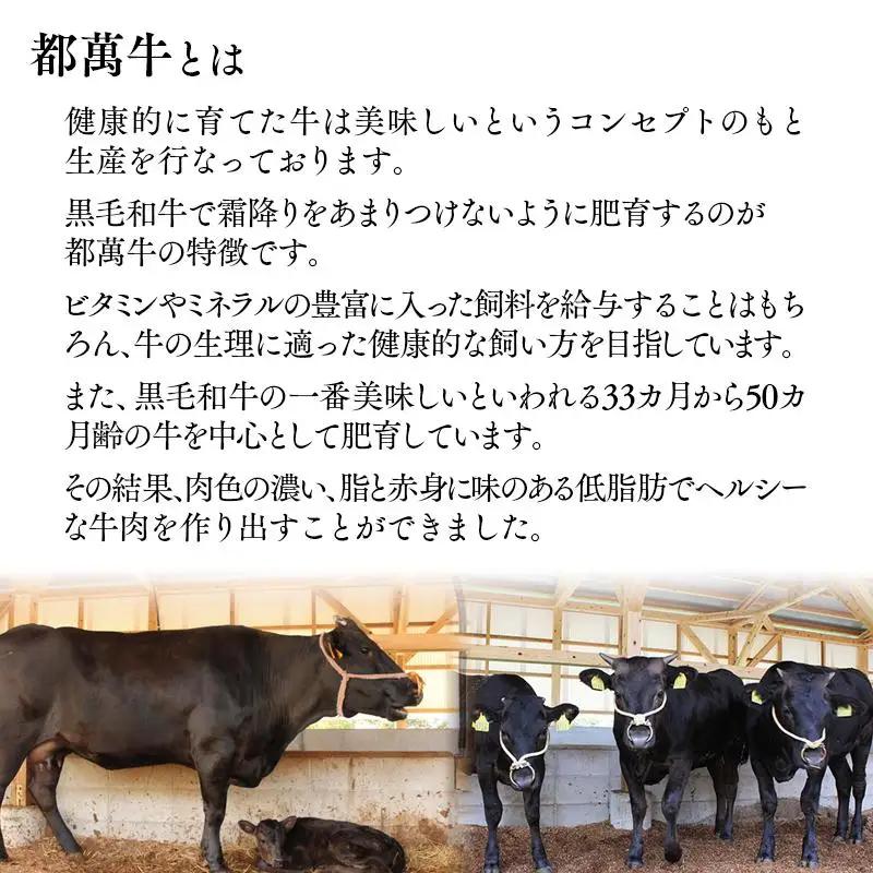 黒毛和牛『都萬牛』特選セット 牛肉 すき焼き・焼肉・ステーキ 国産牛肉＜6-1a＞