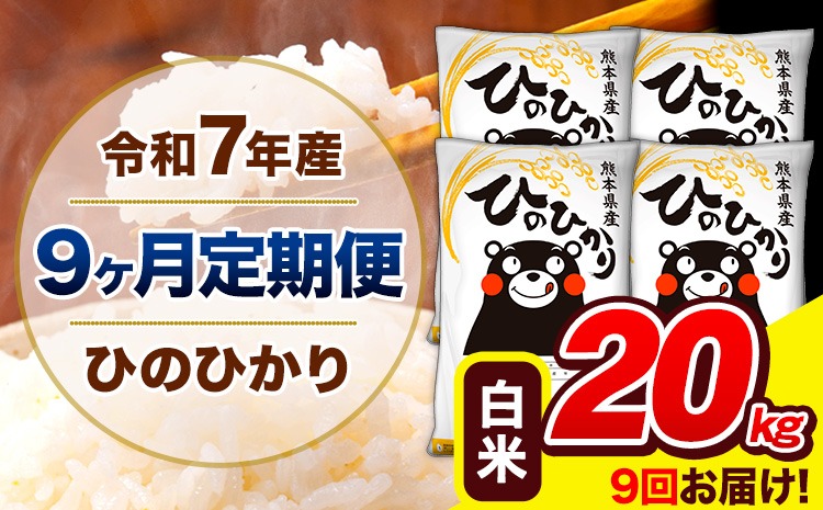 新米 令和7年産 ひのひかり 【9ヶ月定期便】 白米 20kg (5kg×4袋) 計9回お届け 《お申込み翌月から出荷》 熊本県産 精米 ひの 米 こめ お米 熊本県 長洲町---hn7tei_436500_20kg_mo9_ng_h---