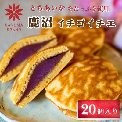 ふるさと納税 鹿沼市 鹿沼イチゴイチエ(20個入)