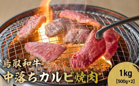 鳥取和牛 中落ちカルビ焼肉 1kg ( 500g × 2 ) 牛肉 和牛 鳥取和牛 ブランド和牛 焼肉 焼肉用 焼き肉 焼き肉用 和牛カルビ 中落ちカルビ 焼肉カルビ 黒毛和牛 KR1487