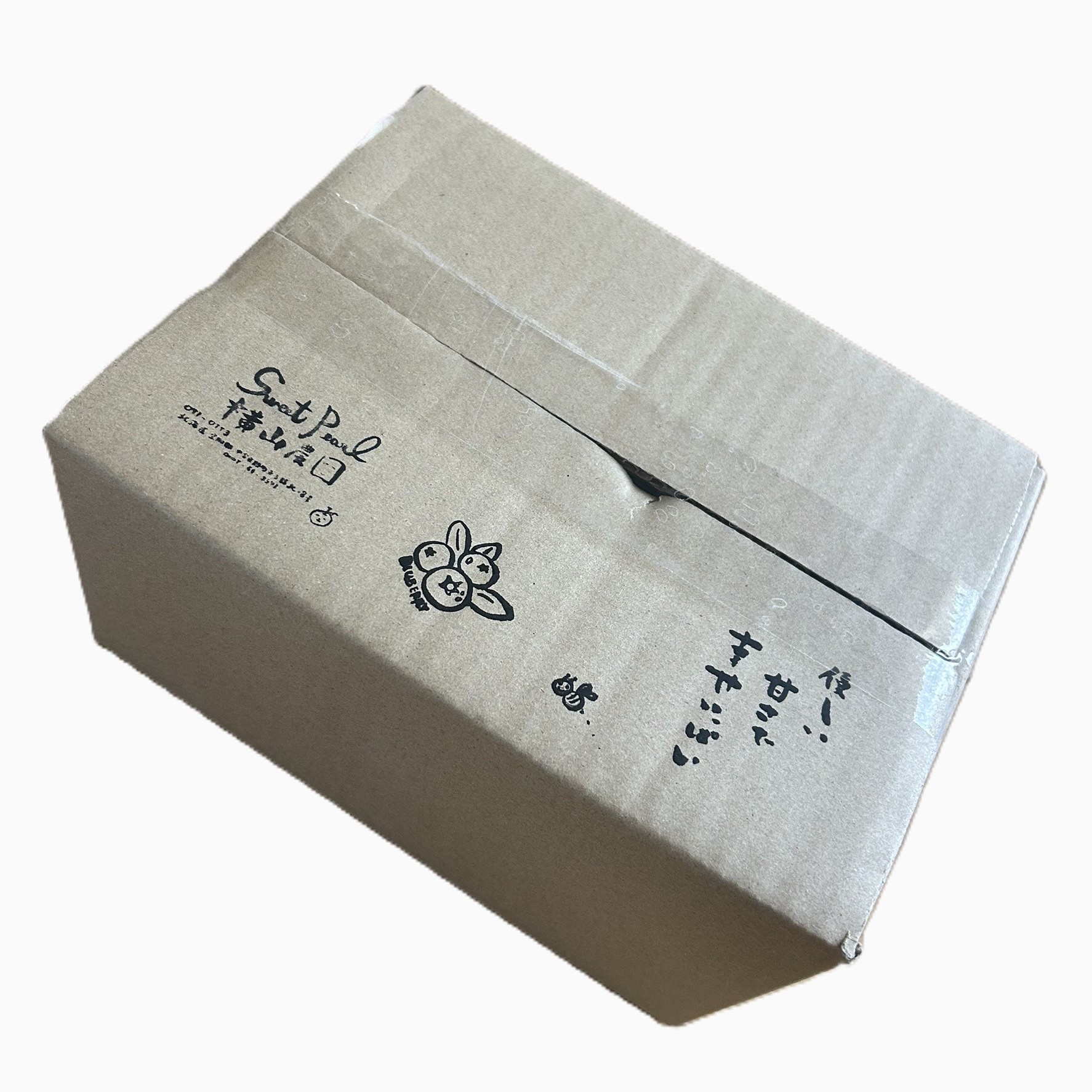 横山農園の冷凍ブルーベリー1kg