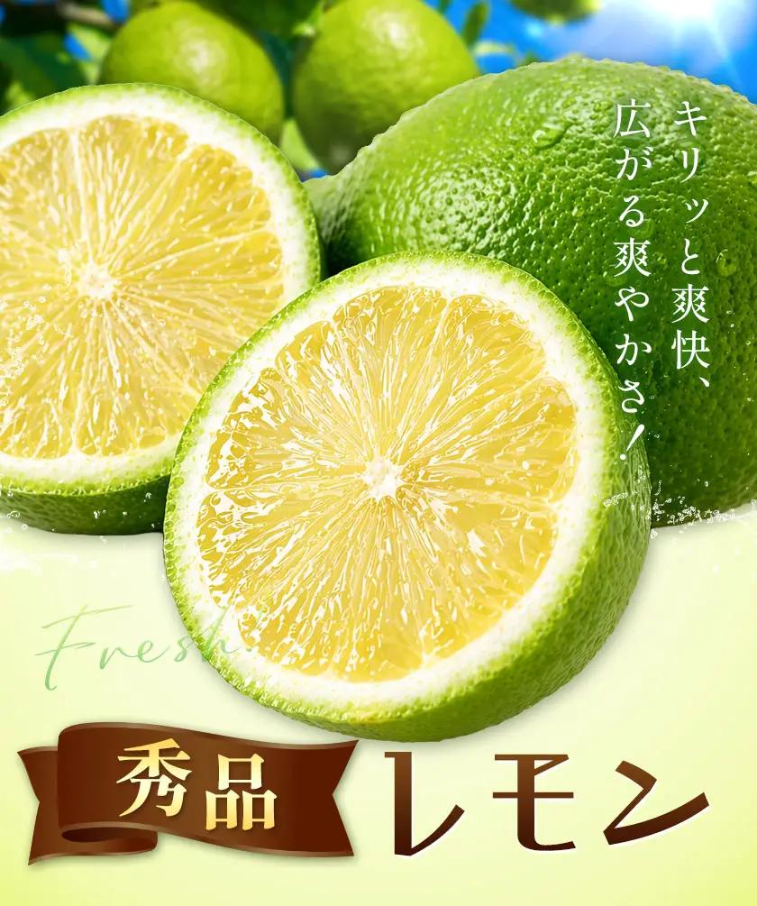 レモン 秀品 緑色 10kg 株式会社農業福祉研究機構