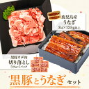 【ふるさと納税】鹿児島黒豚ウデ肉切り落とし(500g×5P)・うなぎ3尾セット うなぎ 鰻 六白黒豚 豚肉 豚 ぶた 肉 鹿児島黒豚 鰻蒲焼 大隅鰻 【和田養豚】