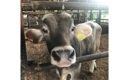 No.430 生ハムとチーズのオリーブオイル漬け　2個セット