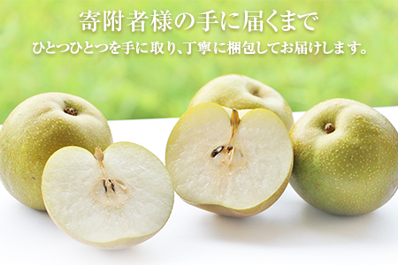 梨 玉東梨 約5kg 先行予約 上田農園 熊本県産 梨