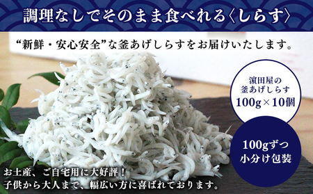 ＜老舗網元 濱田屋の釜あげしらす 計1kg（100g×10袋）＞『1か月以内に順次出荷予定』 減塩 数量限定 化粧箱 簡易包装 選べる 釜揚げ シラス じゃこ 海鮮 海産物 丼 小魚 乾物 小分け カ