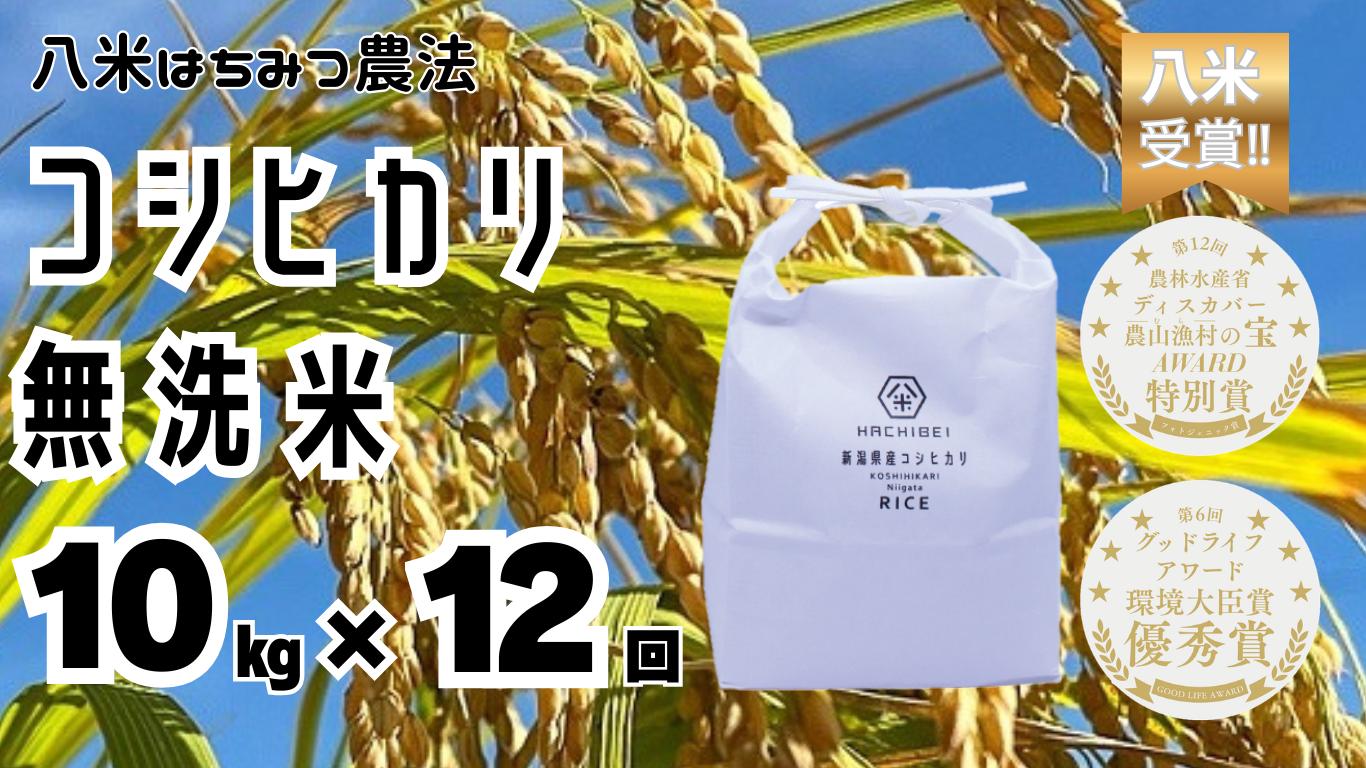 
                  【令和8年産新米予約】【環境大臣賞受賞】【特別賞受賞】12ヶ月定期便 無洗米 コシヒカリ 10kg×12回 計120kg  農家直送 ほんのり甘い「はちみつ農法」 白米 精米 HACHIBEI 八米新潟県 米 こめ コメ 新米  新米予約 令和８年度産 10月中旬より順次発送 1L18265
                