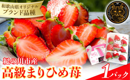 和歌山県産 まりひめ苺 ゆりかーご入り 1パック いちご イチゴ 株式会社ふるーつふぁーむわかやま 《12月下旬-5月中旬頃出荷》 和歌山県 紀の川市