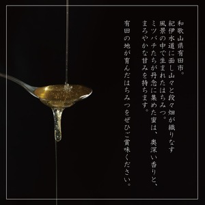 山花のはちみつチューブボトル300ｇ 3個（B1016-1）