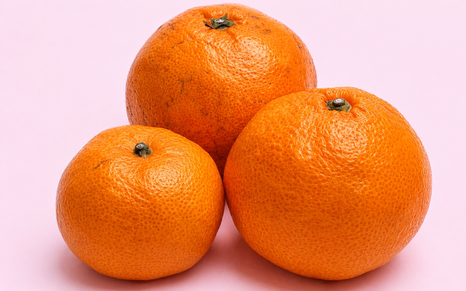 【先行予約】家庭用 有田みかん（完熟）2.5kg+250g（傷み補償分）※11月より発送(完熟) 【わけあり・訳あり】【光センサー選果】※北海道・沖縄・離島配送不可 / みかん 果物 フルーツ 柑橘 