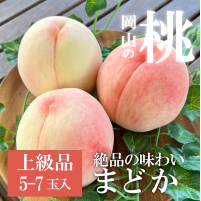 【2026年先行予約】上品な肉質 まどか 白桃 上級品 5-7玉入(岡山県産)【配送不可地域：離島】