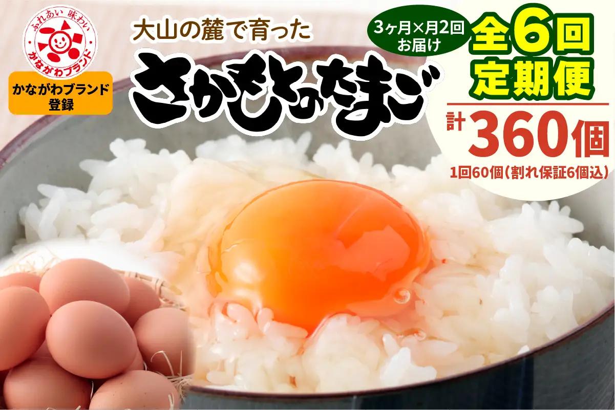 [定期便／3ヶ月×月2回 (全6回)] さかもとのたまご 60個 (54個＋割れ保証6個) 合計360個｜伊勢原市 赤玉卵 玉子 鶏卵 生卵 国産 TKG タマゴ 新鮮 大山 鶏 ギフト 安心 安全 親子丼 卵焼き 目玉焼き お菓子 [1300]
