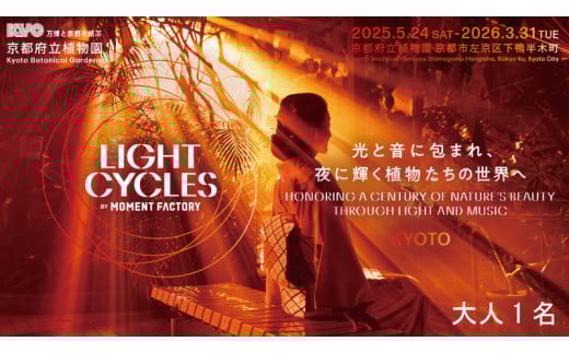 【～2026年3月16日受付】 京都府立植物園 LIGHT CYCLES KYOTO 前売券 大人1枚 チケット イルミネーション プロジェクションマッピング ライトアップ 夜 幻想的 デート イベント 家族 大人 観光 旅行 体験 遊び 関西 京都 植物園 夏休み クリスマス 人気 おすすめ 京都府 ふるさと納税