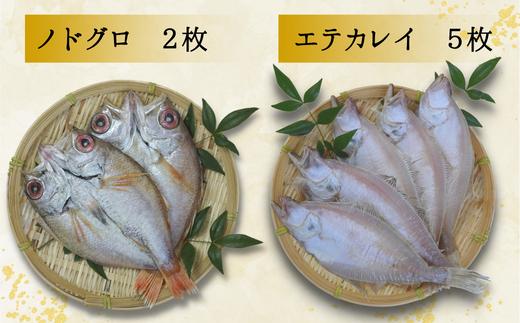 【干物 日本海一夜干しセット ノドグロ2枚、エテカレイ5枚、ハタハタ7尾、スルメイカ2枚 干物の本場 香住産 冷凍】日本海の旬の干物が大集合です。伝統の技術 素材の良さ抜群 兵庫県 香美町  柴山 大