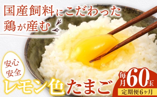 【定期便6か月】国産飼料にこだわった鶏が産む安全安心の 『レモン色たまご』60玉（55玉＋割れ保証5玉） ［Hn11］
