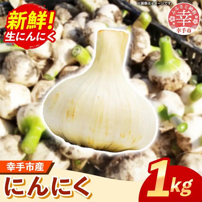にんにく 1kg - 2026年度 幸手市産 採れたて ニンニク ガーリック きあり農園