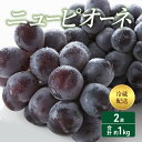 【ふるさと納税】2024年 先行予約 ニューピオーネ 2房 合計約1kg 冷蔵配送 ぶどう 葡萄 フルーツ 果物 岡山 　【 岡山のぶどう 食後 デザート 産地直送 大粒 食べ応え ちょうどよい甘さ 種無し 】　お届け：2024年8月下旬～2024年9月上旬