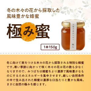 ＜国産＞桃蜜・新蜜・極み 食べ比べはちみつ（150g×3個）【愛知県小牧市】 [055A18]