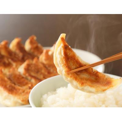 ふるさと納税 八王子市 長期熟成にんにくの芳醇な旨味が決め手　肉餃子・野菜餃子詰合せ48個入り(各12個入×2パック) |  | 01