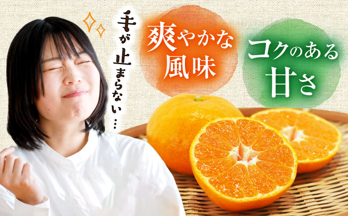 〈先行予約〉【11月中旬頃～1月中旬配送】長崎県産 温州みかん 約2.5kg 大村市 山光農園 [ACAI001]