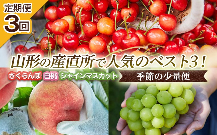 
            【定期便3回】山形の産直所で人気のベスト3！さくらんぼ・白桃・シャインマスカット【季節の少量便】 FZ25-948 くだもの 果物 フルーツ 山形 山形県 山形市
          