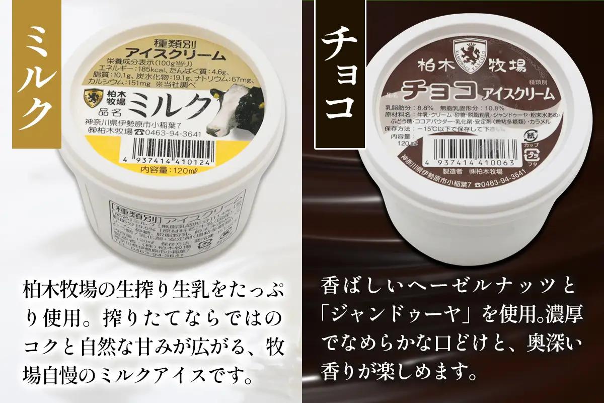 [定期便／3ヶ月連続] 柏木牧場 手づくりアイスクリーム食べ比べ 計24個 (4種 各2個セット×3回・120ml／個) [1253]
