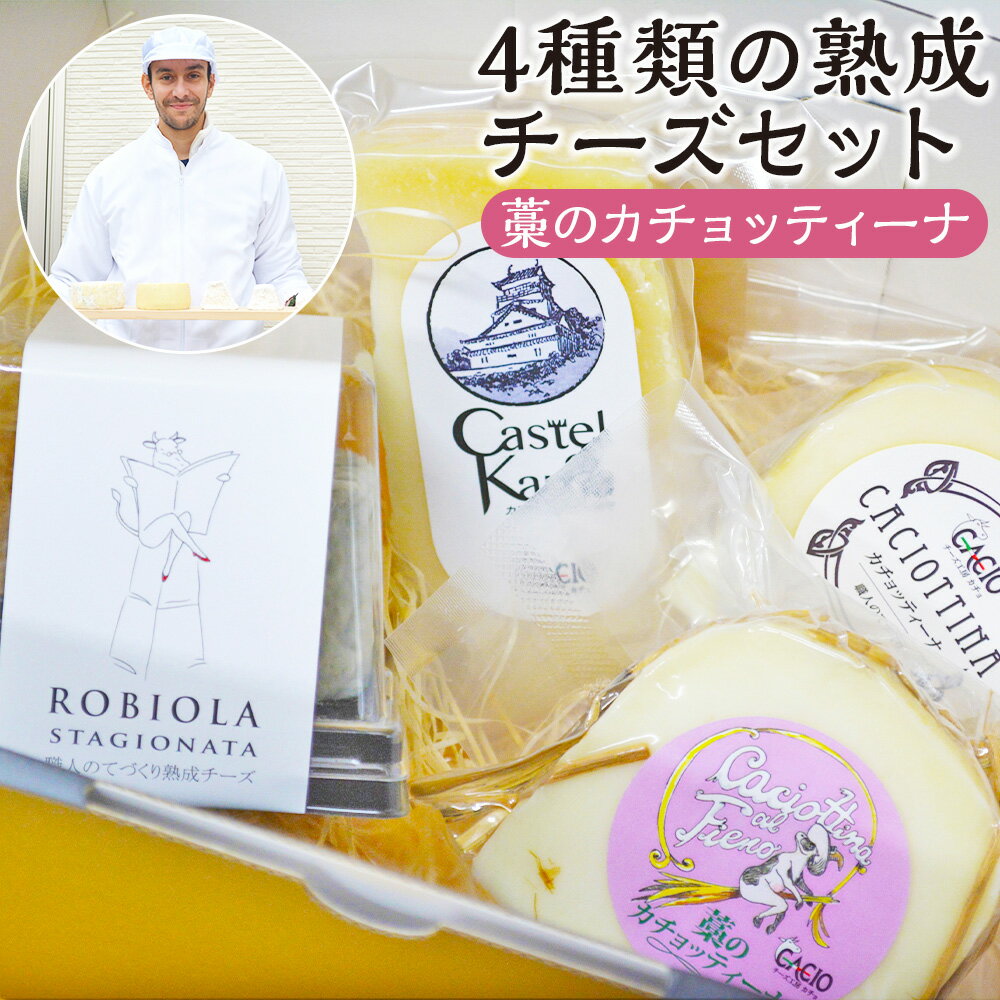 【ふるさと納税】4種類の熟成チーズセット 藁のカチョッティーナ 4種類 各1個 ロビオラ45 カステルディ嘉麻 カチョッティーナ 詰め合わせ 食べ比べ チーズ イタリアン おつまみ 前菜 サラダ 乳製品 送料無料