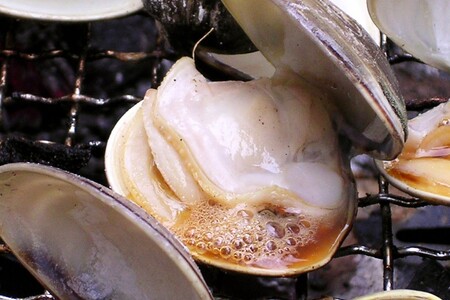 畜養活はまぐり 1kg
