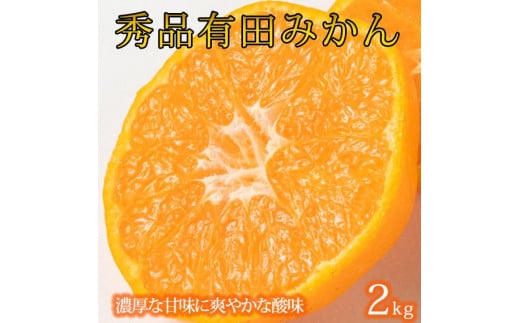 
            紀州有田産濃厚甘熟温州みかん約2kg (2S ～ Lサイズのいずれか)［2026年11月下旬以降発送］［先行予約］
          