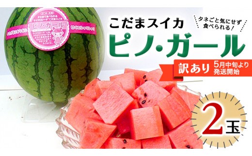 【 訳あり 】【 5月下旬より順次発送 】 こだまスイカ ピノ・ガール （ ２玉 ） 感動必至！ タネが気にならない すいか スイカ 西瓜 旬 旬の果実 旬のフルーツ くだもの 果実 フルーツ 夏 [BC059sa]